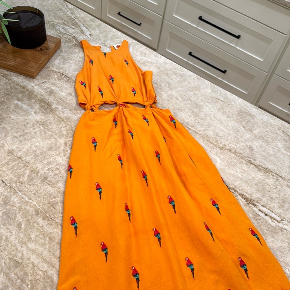 Farm Rio dress